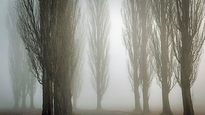 Dense Fog Advisory and Weekend Cooldown in Louisiana