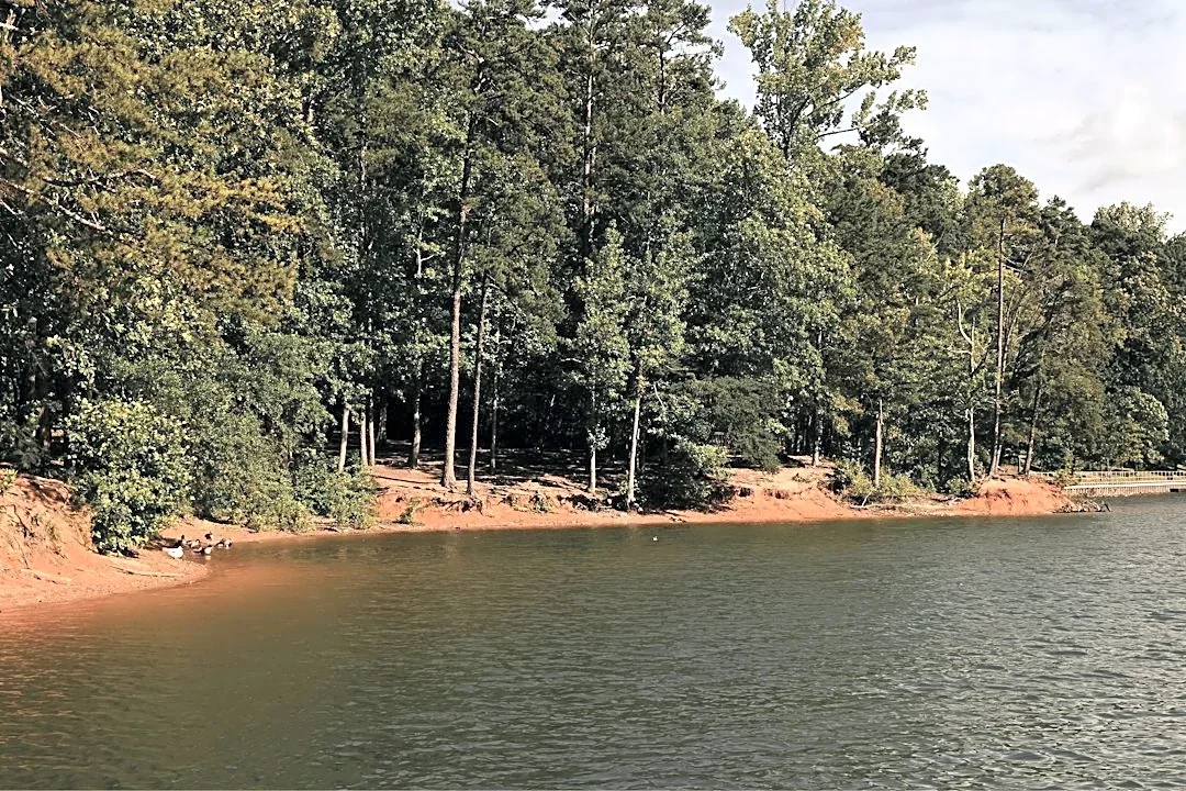 Lake Lanier Shore Sweep Removes Over 50 Tons of Debris