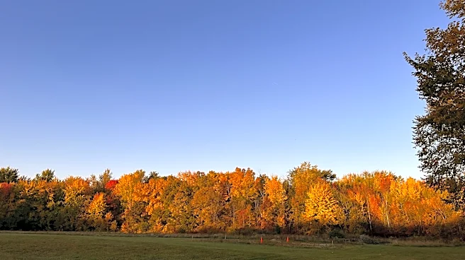Heatwave Forecasted for Michigan and Great Lakes Region in Late October