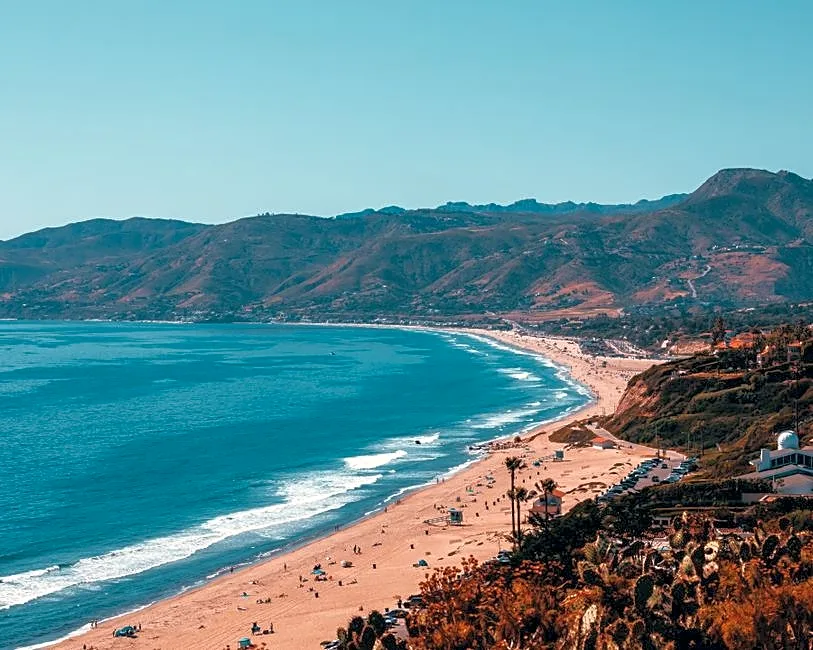California Beach Shuts Down After Shark Shows ‘Aggressive’ Behavior