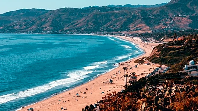 California Beach Shuts Down After Shark Shows ‘Aggressive’ Behavior