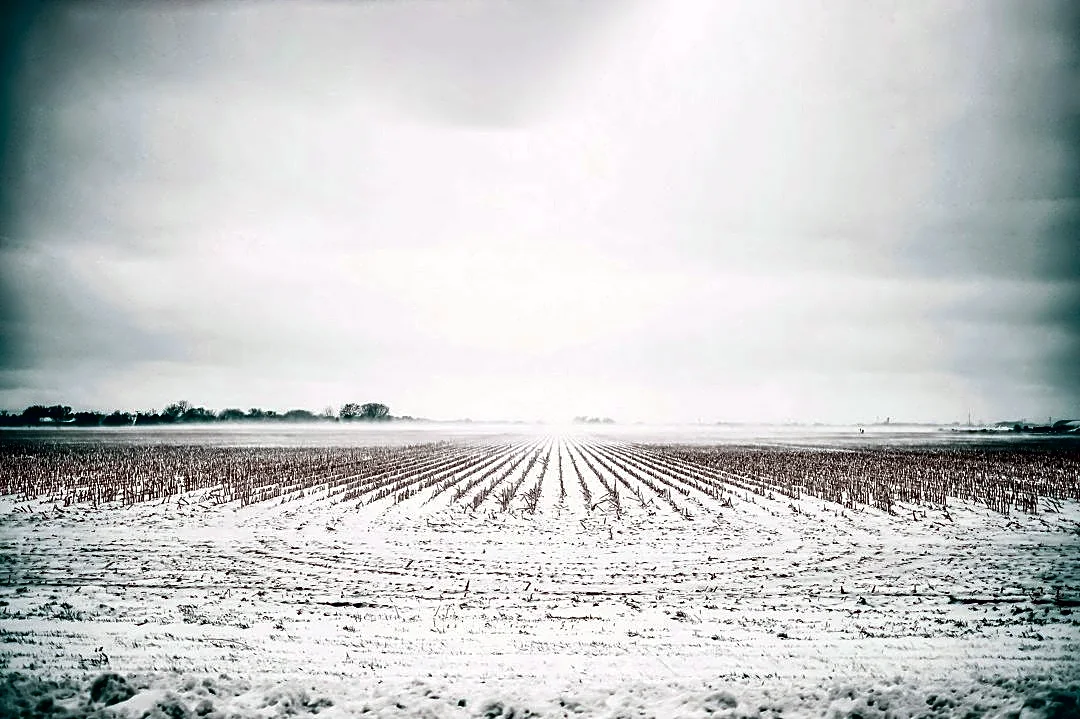 Polar Vortex and El Niño to Shape Nebraska's Winter