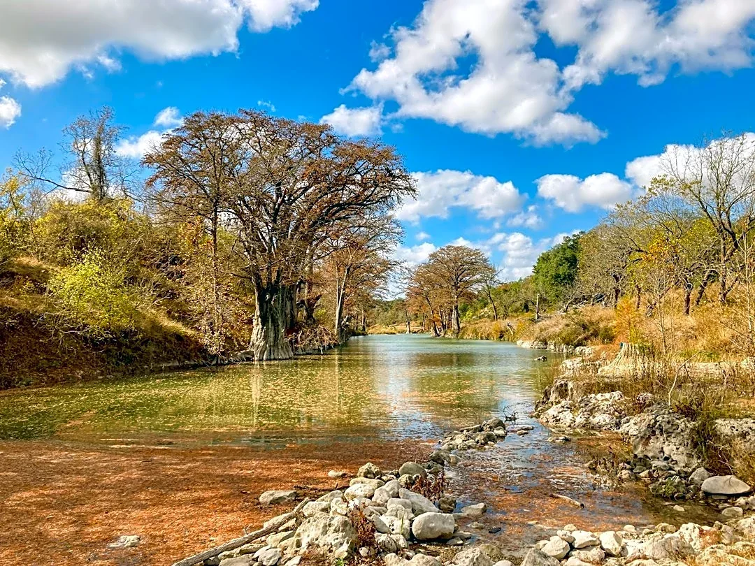 Guadalupe River Wildlife Shows Resilience After Floods