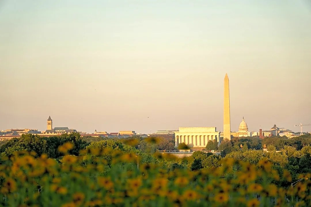 Washington DC Faces Severe Pollen Challenges in 2026