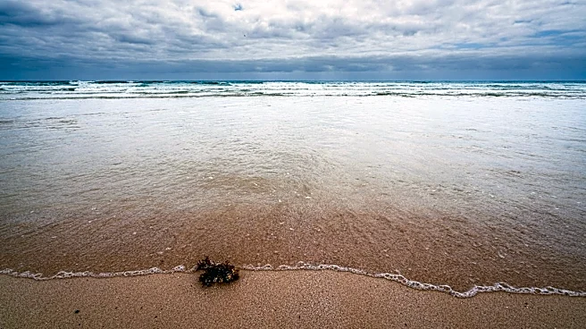 Rain, Storms, and Rough Surf Expected in Florida