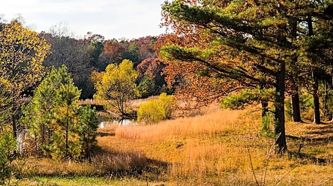 Chilly Nights and Frost Expected in Kentucky