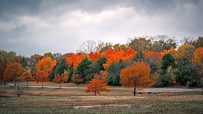 Cold Front to Bring Gusty Winds, Cooler Temps to Texas