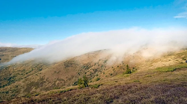 Santa Ana Winds Bring Fire Risks to Los Angeles