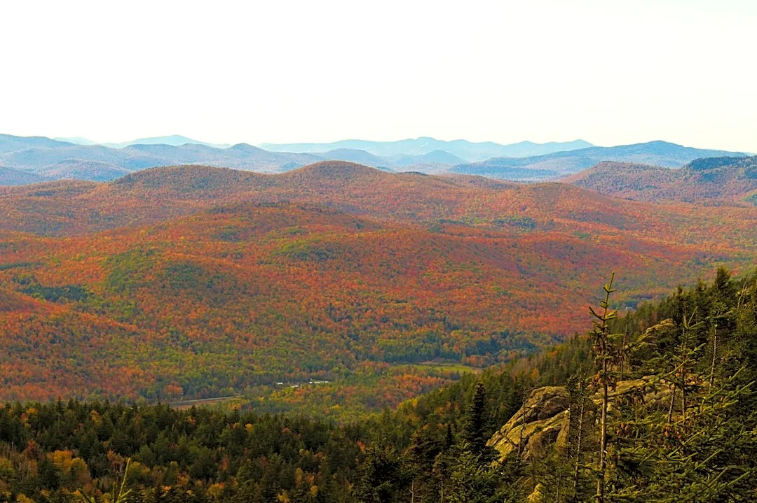 Understanding Fall Foliage Changes in the Adirondacks