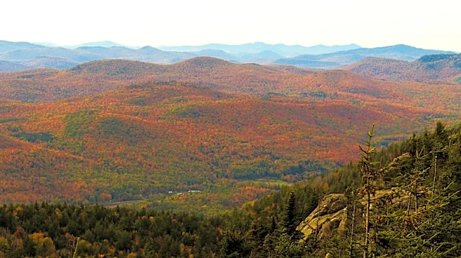 Understanding Fall Foliage Changes in the Adirondacks