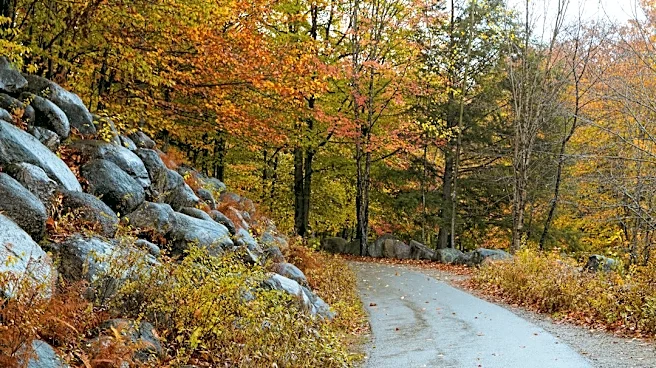 What to Know About Early-Season Snow in New England