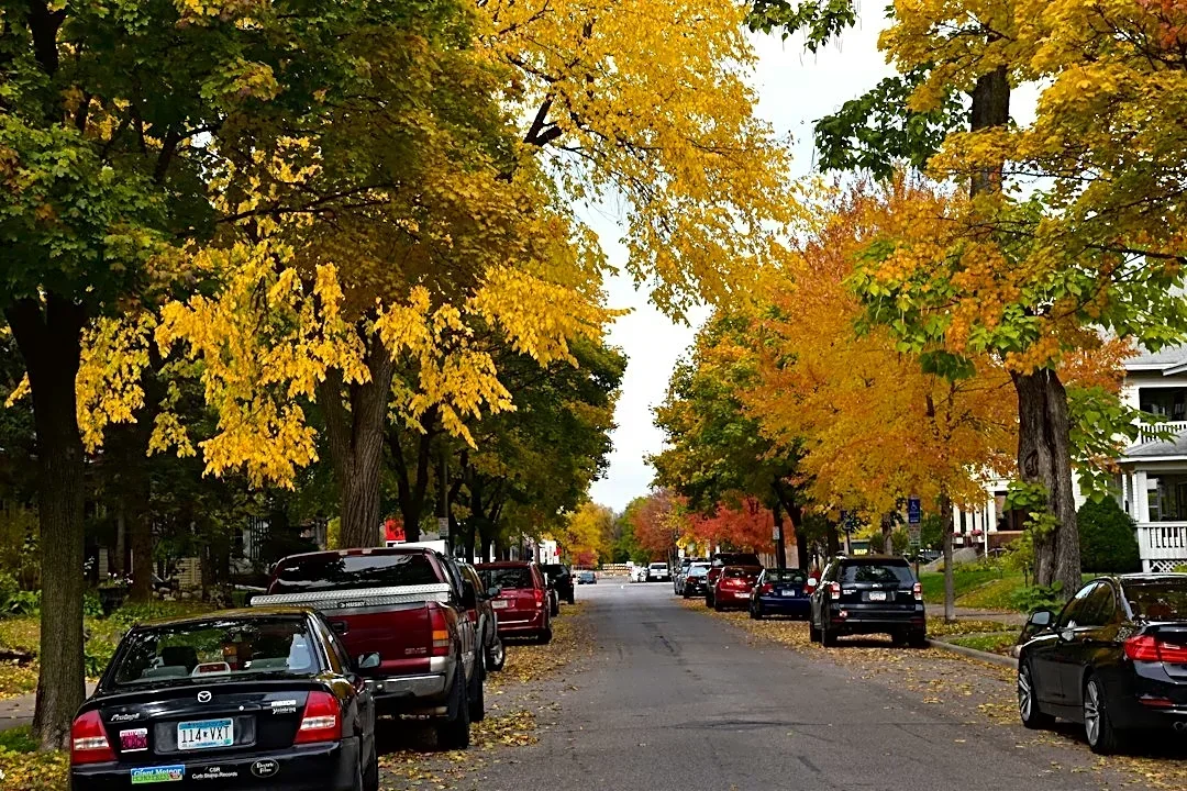 Peak Fall Colors Expected in Twin Cities This Weekend