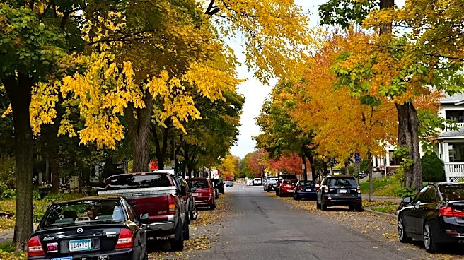 Peak Fall Colors Expected in Twin Cities This Weekend