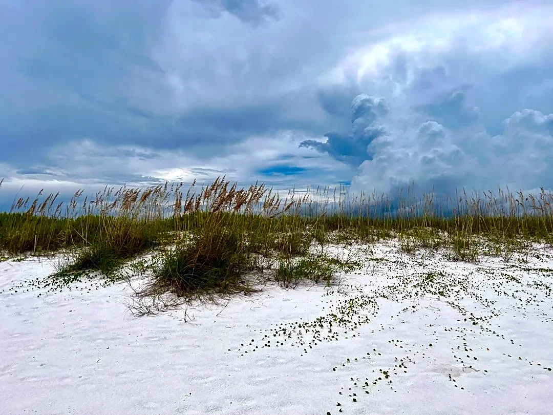 Cold Front Brings Dramatic Cooldown to Gulf Coast