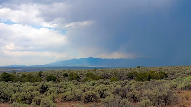 Freeze Warnings Issued Ahead of New Mexico Cooldown