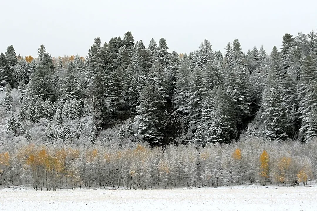 Winter Weather Advisory in Wyoming Through Thursday