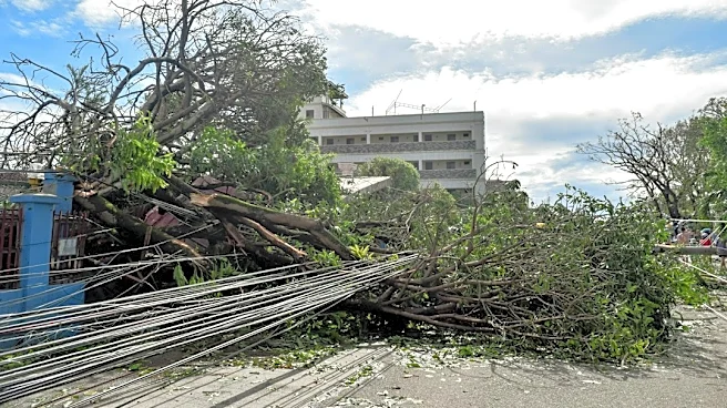 Severe Storms Cause Damage in Kansas City Metro