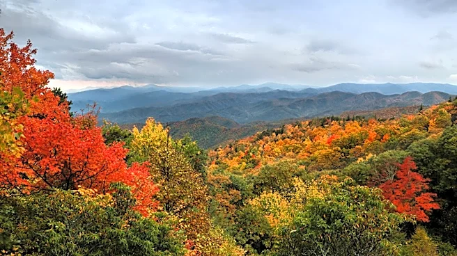 North Carolina Fall Foliage Peaks Mid-October