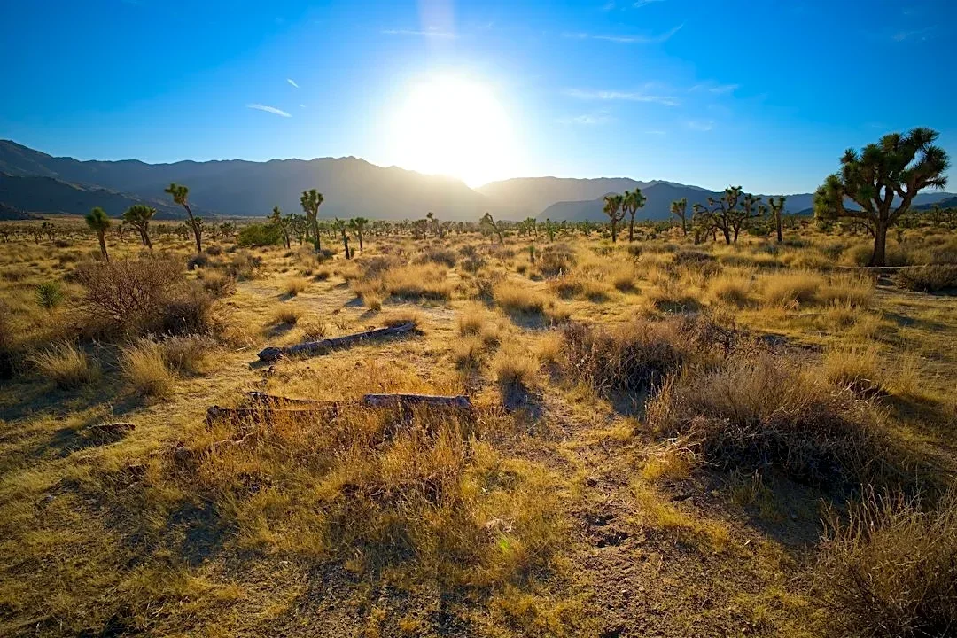 Record Heatwave Eases in Southern California