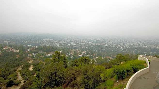 Westside L.A. Faces High Fire Risk from Santa Ana Winds