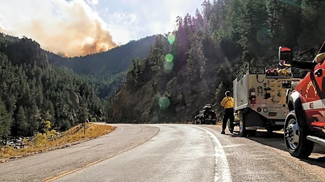 Santa Ana Winds Bring Fire Risk to Los Angeles