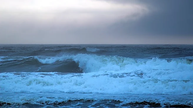 El Niño Sparks Pacific Hurricanes, Quiet Atlantic