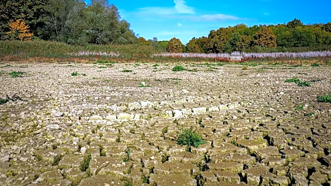Drought Conditions in Escambia County, Florida Highlight Water Shortages