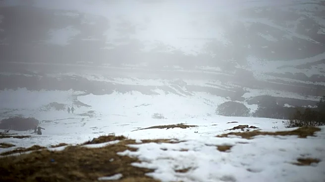 Freeze Watches and Warnings Issued Ahead of Cooldown in New Mexico