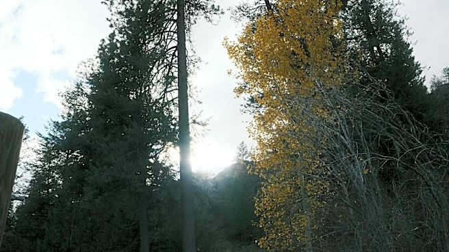 Spokane to See Warming Trend Before Weekend Cooldown