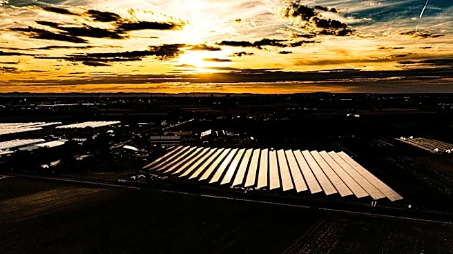 Worldwide Solar Power Boom Signals Rapid Energy Transition