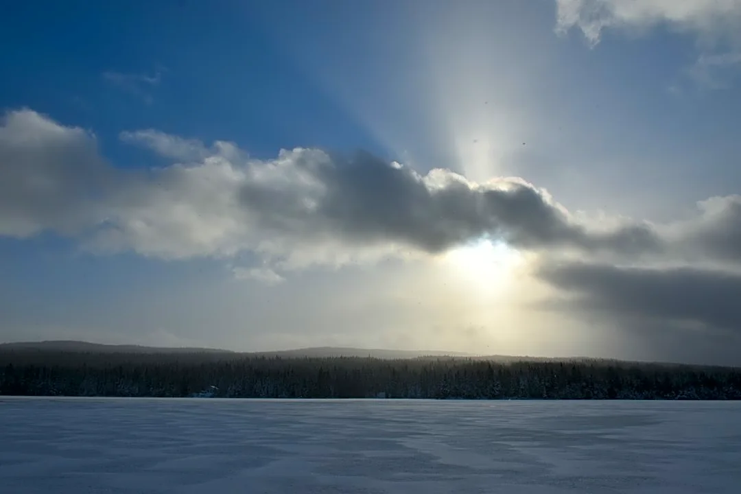 Understanding Seasonal Affective Disorder (SAD) and How to Cope