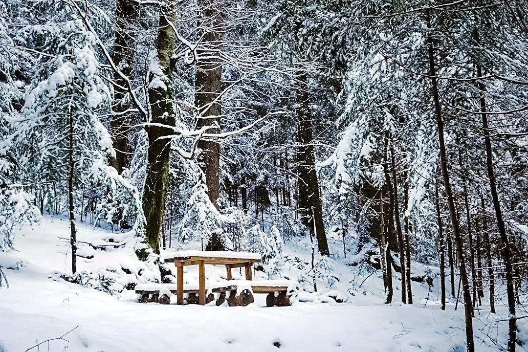 How to Protect Your Skin During Cold Weather