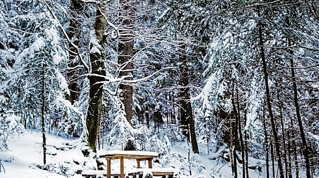 How to Protect Your Skin During Cold Weather