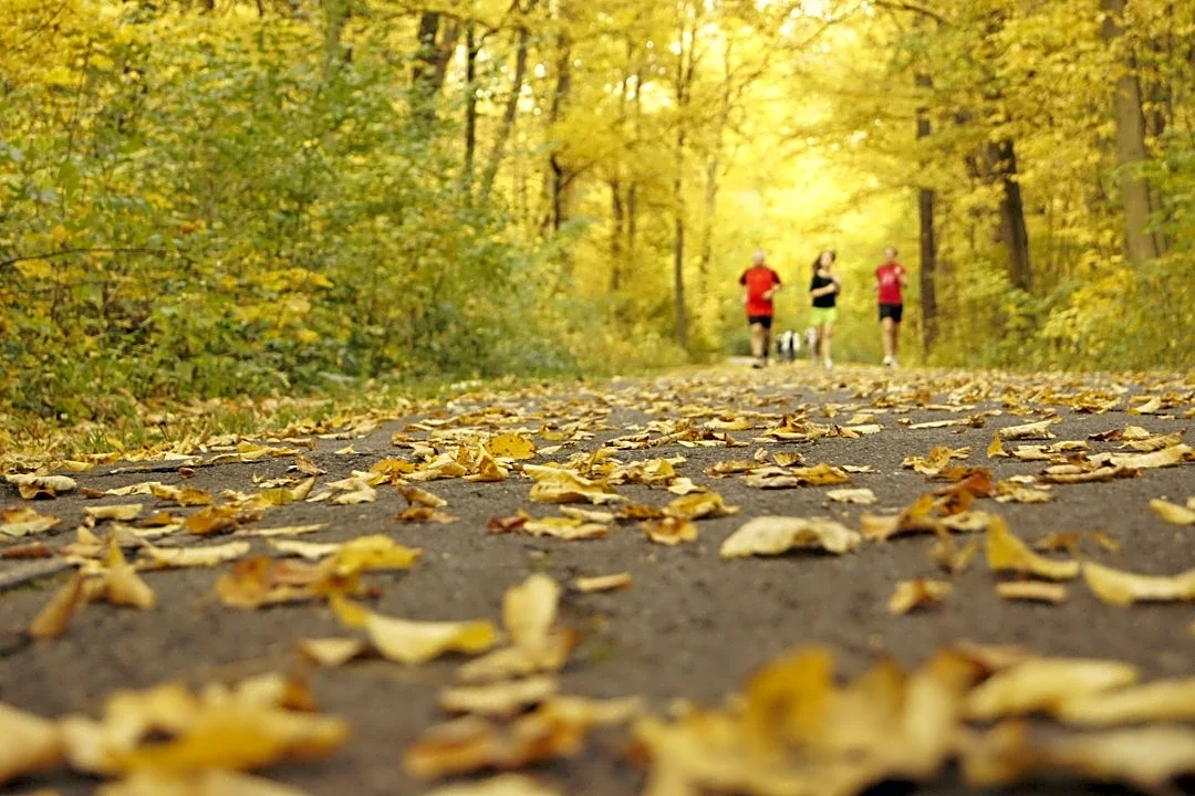 Finding the Best Running Temperature for Your Marathon