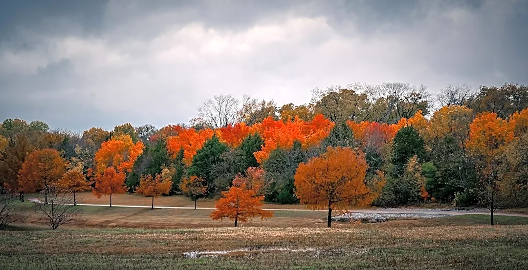 How to Prepare for Fall Weather Swings and First Frost