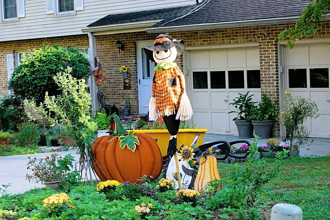 Halloween Decorations Pose Safety and Wildlife Risks