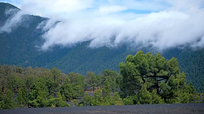 Cold Front Brings High Winds, Chilly Temps to El Paso