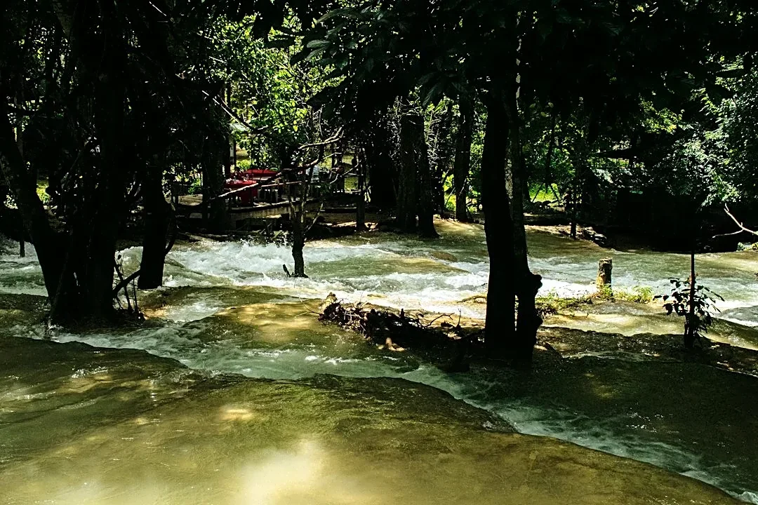 Flood Warning Issued for Myakka River State Park