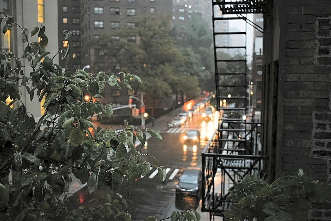 New York Sewage Overflows Linked to Heavy Rainfall