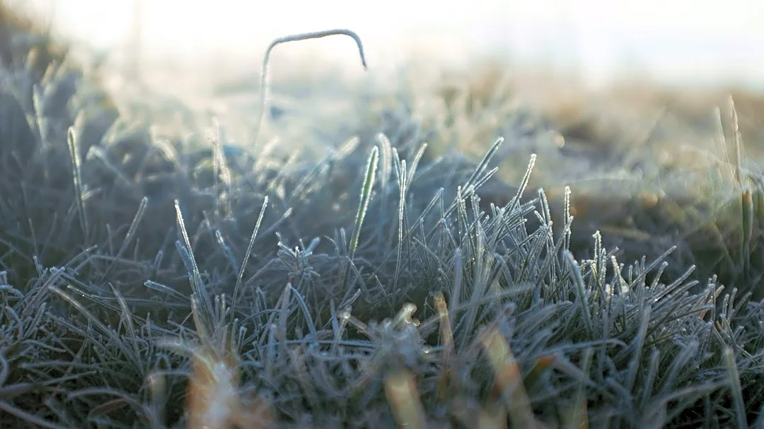 Freeze Warning Issued for Upper Midwest Tonight