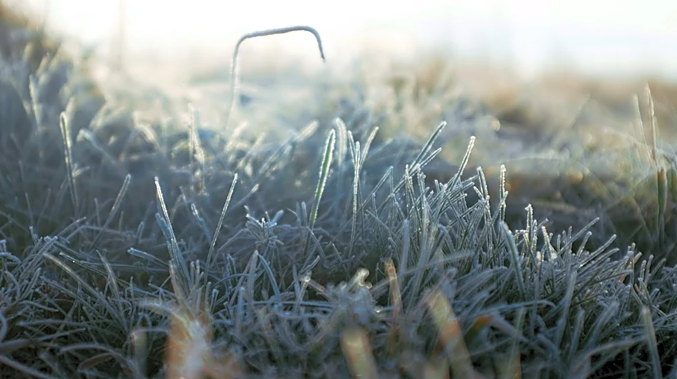 Freeze Warning Issued for Upper Midwest Tonight