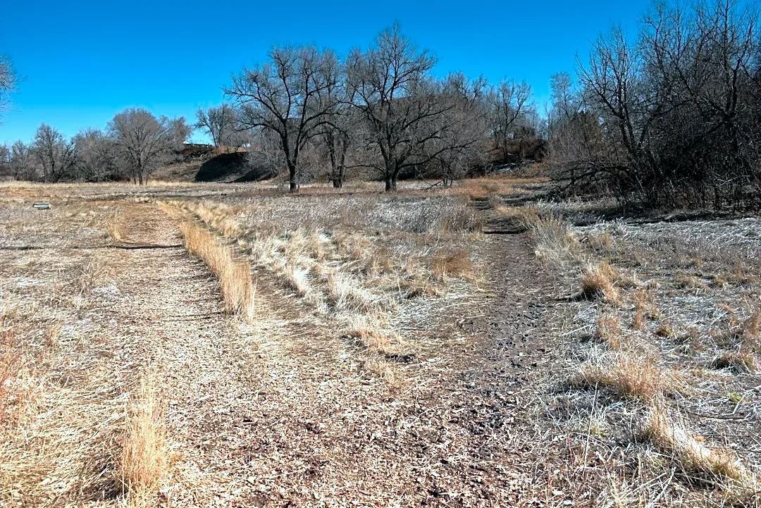 Drought, Pests, and Fuel Costs Hit U.S. Hay Farmers