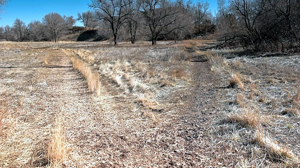 Drought, Pests, and Fuel Costs Hit U.S. Hay Farmers