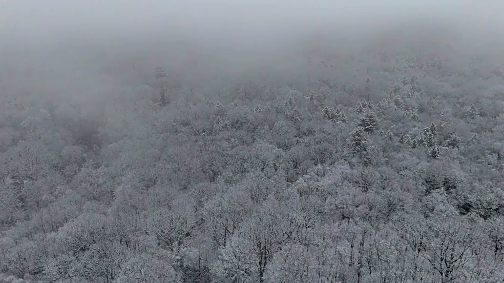Connecticut Faces Snowstorm Risks and Power Outages