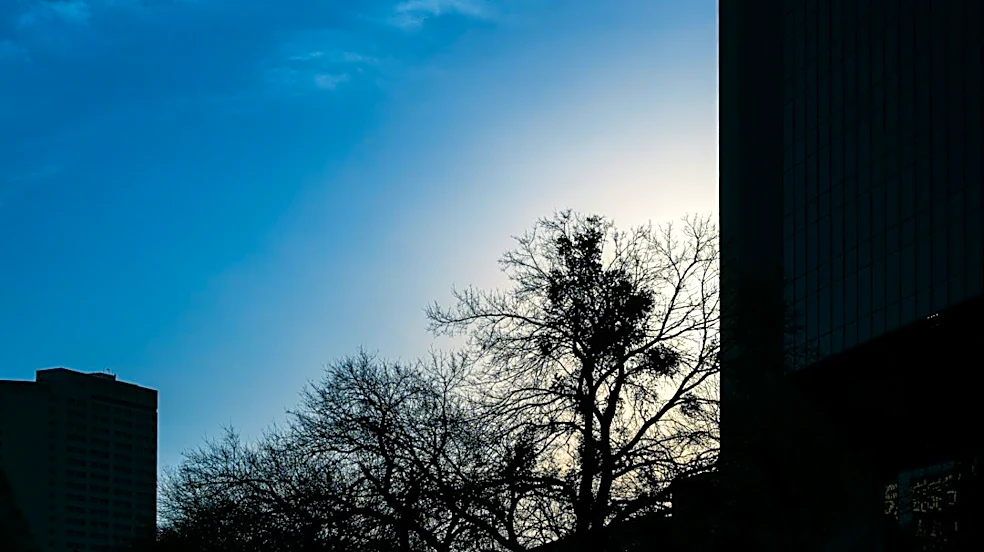 Wind Advisory in Dallas With Gusts Up to 50 mph