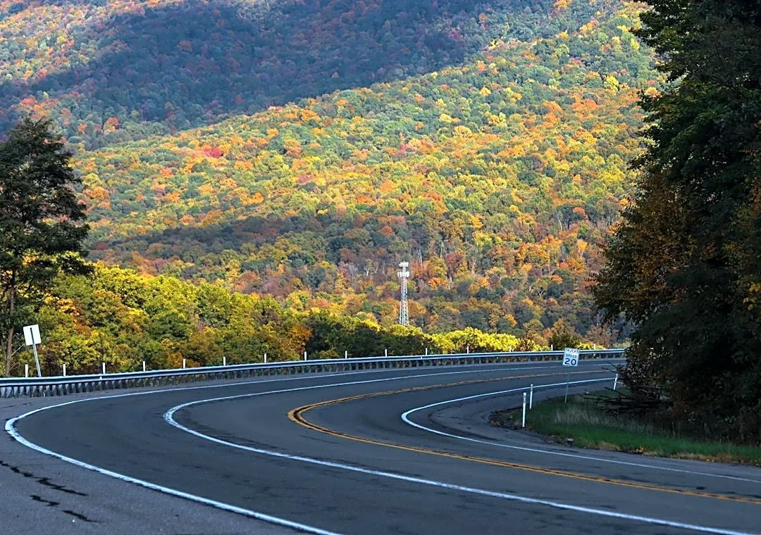 Fall Foliage Peaks Across Pennsylvania Regions