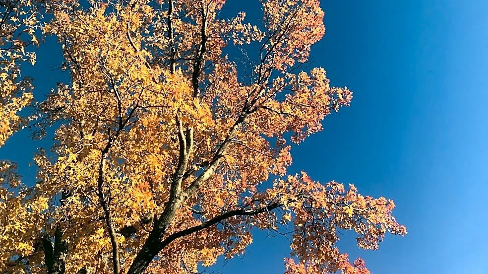 Cold Front Brings Cooler Weather to Tulsa