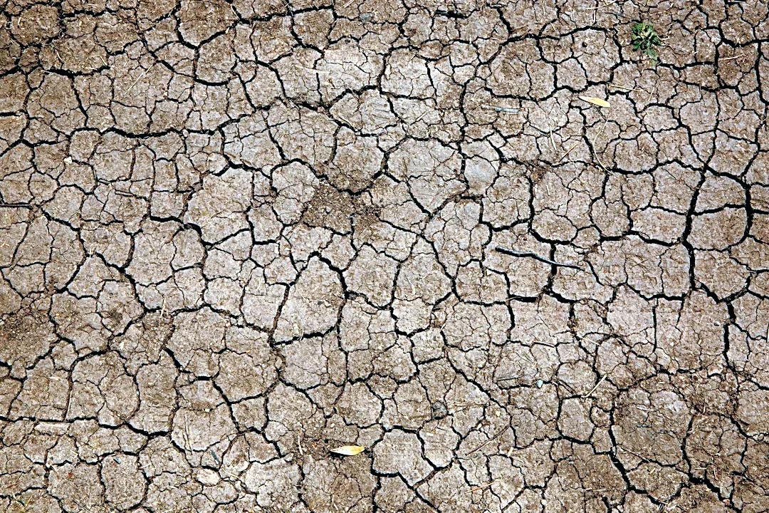 Drought Conditions in Broward County, Florida Highlight Water Shortages