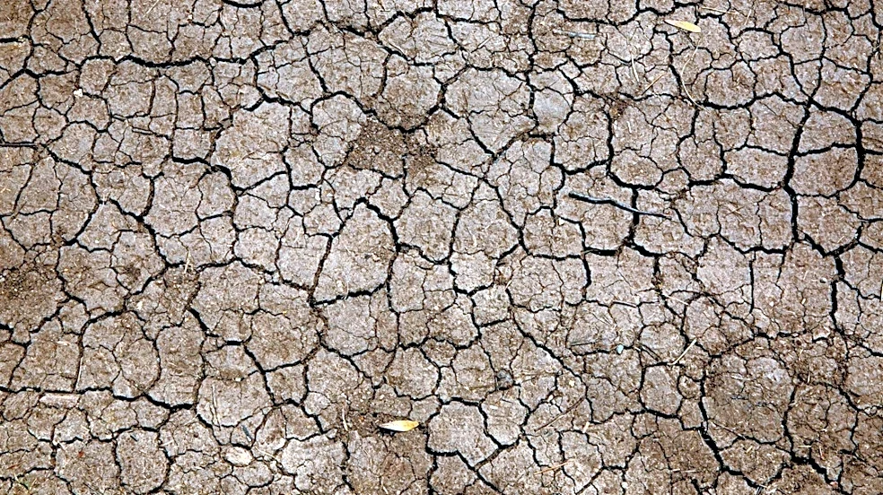 Drought Conditions in Broward County, Florida Highlight Water Shortages