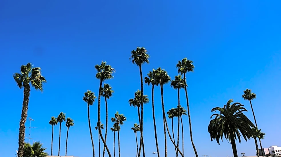 Warm, Windy Day in San Diego with Fire Danger